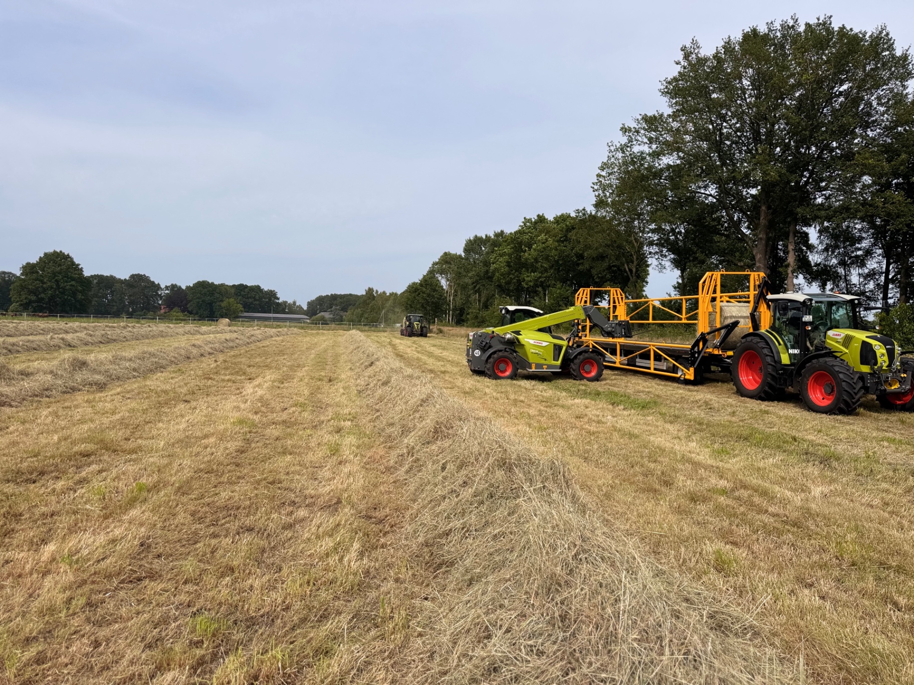 Silageballen im Feld